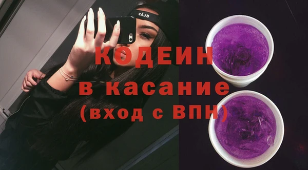 шишки Бородино