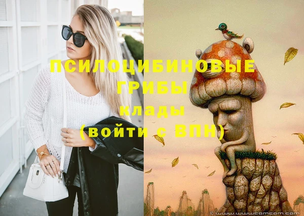 дурь Богданович