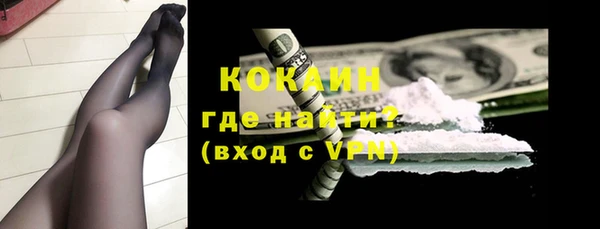 шишки Бородино