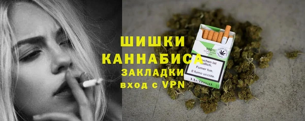 дурь Богданович