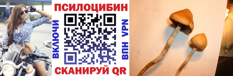 сайты даркнета как зайти  Коркино  Псилоцибиновые грибы Psilocybine cubensis 